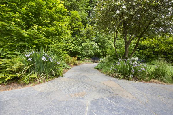 Stone Hardscape Service in Des Moines